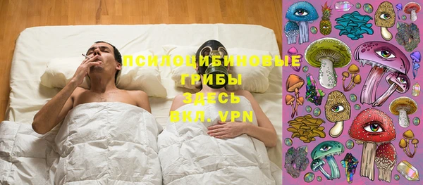 прущие крисы Михайловск