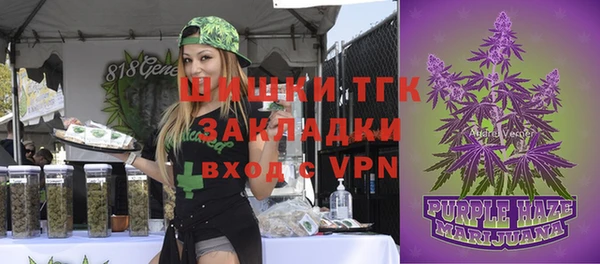 mdpv Медвежьегорск
